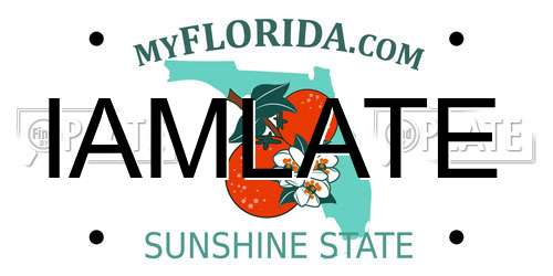 IAMLATE Florida License Plate