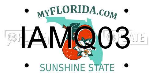 IAMQ03 Florida License Plate