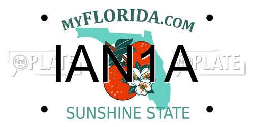IAN1A Florida License Plate