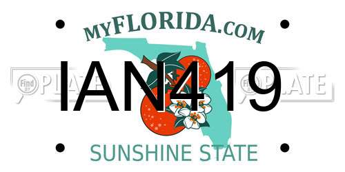 IAN419 Florida License Plate