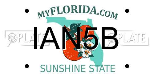 IAN5B Florida License Plate
