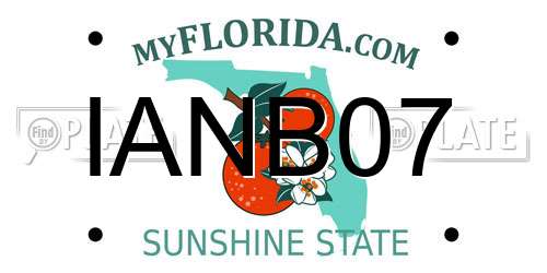 IANB07 Florida License Plate