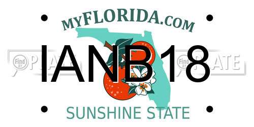 IANB18 Florida License Plate