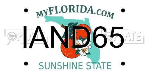 IAND65 Florida License Plate
