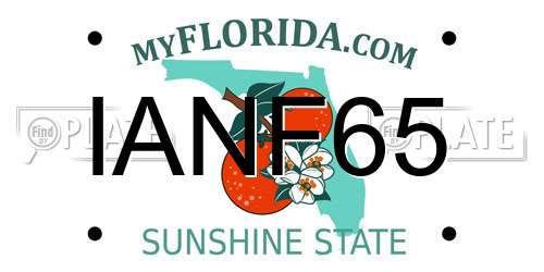 IANF65 Florida License Plate