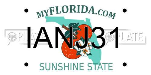 IANJ31 Florida License Plate