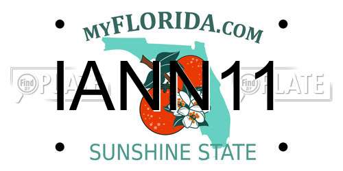IANN11 Florida License Plate