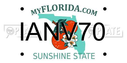IANV70 Florida License Plate