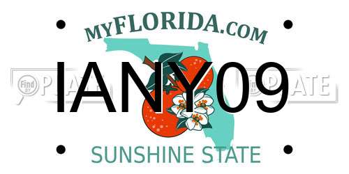 IANY09 Florida License Plate