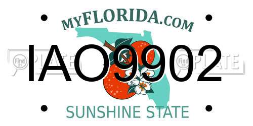 IAO9902 Florida License Plate