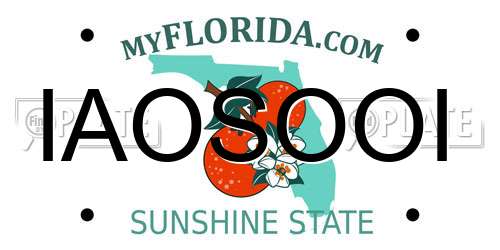 IAOSOOI Florida License Plate