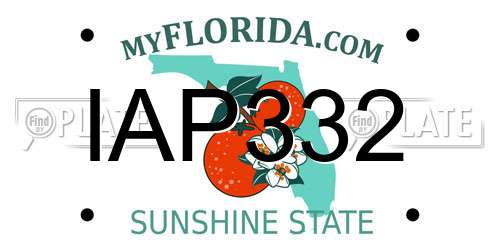 IAP332 Florida License Plate