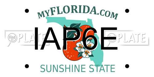 IAP6E Florida License Plate