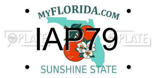 IAP79 Florida License Plate