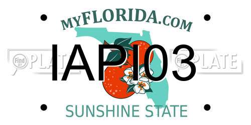 IAPI03 Florida License Plate