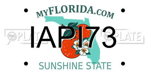 IAPI73 Florida License Plate
