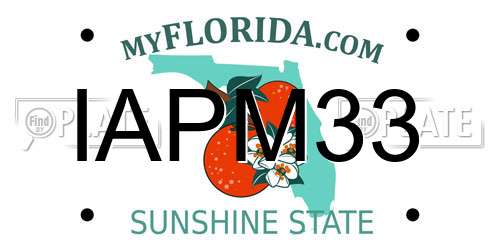 IAPM33 Florida License Plate