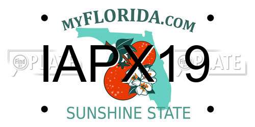 IAPX19 Florida License Plate