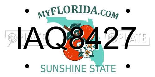 IAQ8427 Florida License Plate