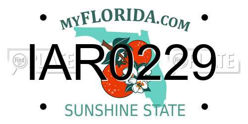 IAR0229 Florida License Plate
