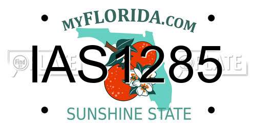 IAS1285 Florida License Plate