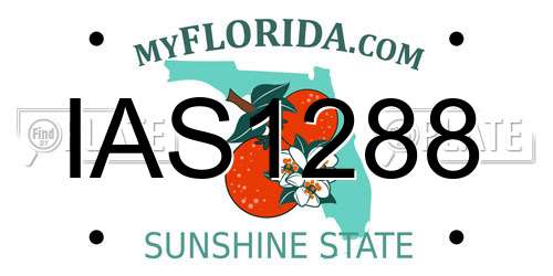 IAS1288 Florida License Plate