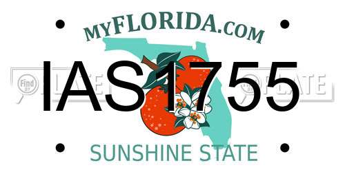 IAS1755 Florida License Plate