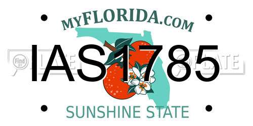 IAS1785 Florida License Plate