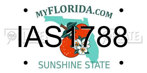 IAS1788 Florida License Plate