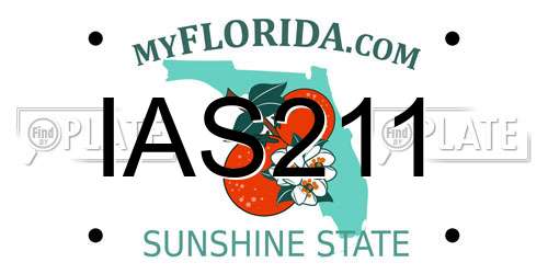 IAS211 Florida License Plate