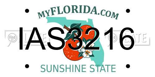 IAS3216 Florida License Plate