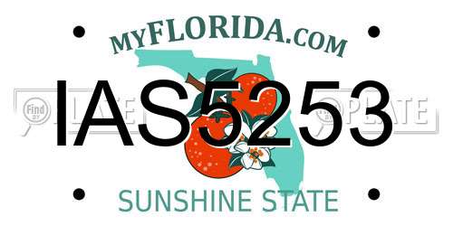 IAS5253 Florida License Plate