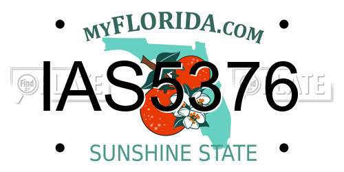 IAS5376 Florida License Plate