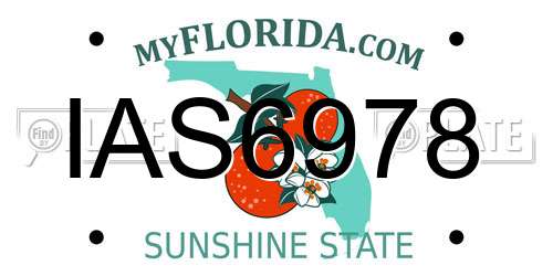 IAS6978 Florida License Plate