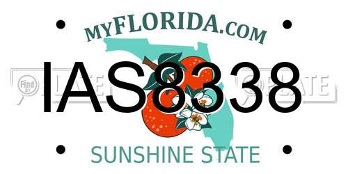IAS8338 Florida License Plate