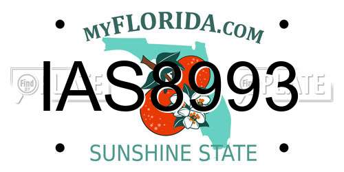 IAS8993 Florida License Plate
