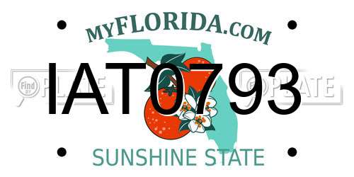 IAT0793 Florida License Plate