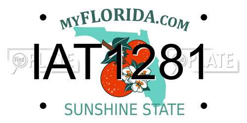 IAT1281 Florida License Plate