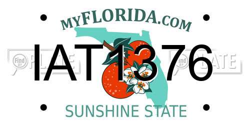 IAT1376 Florida License Plate