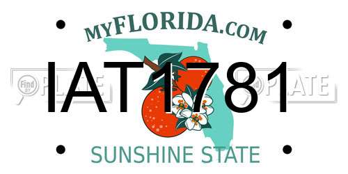 IAT1781 Florida License Plate