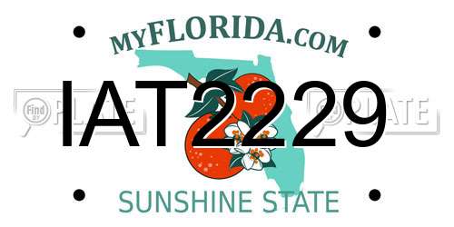 IAT2229 Florida License Plate