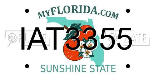IAT3355 Florida License Plate