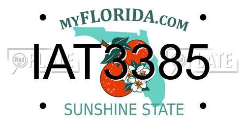 IAT3385 Florida License Plate