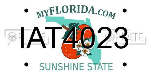 IAT4023 Florida License Plate