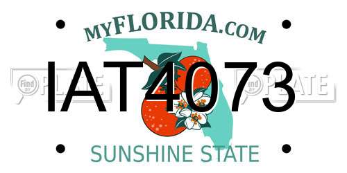 IAT4073 Florida License Plate