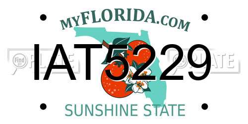 IAT5229 Florida License Plate