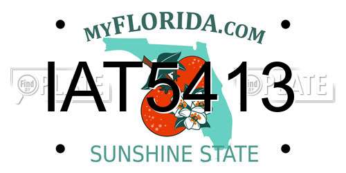 IAT5413 Florida License Plate