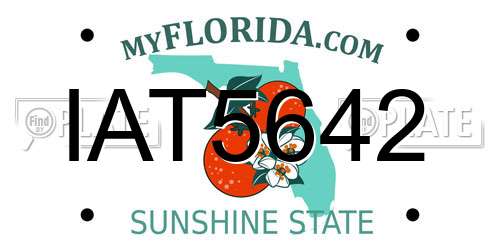 IAT5642 Florida License Plate