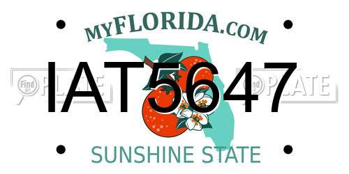 IAT5647 Florida License Plate