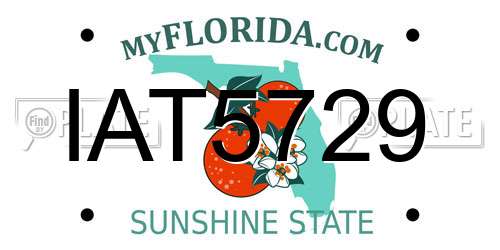 IAT5729 Florida License Plate